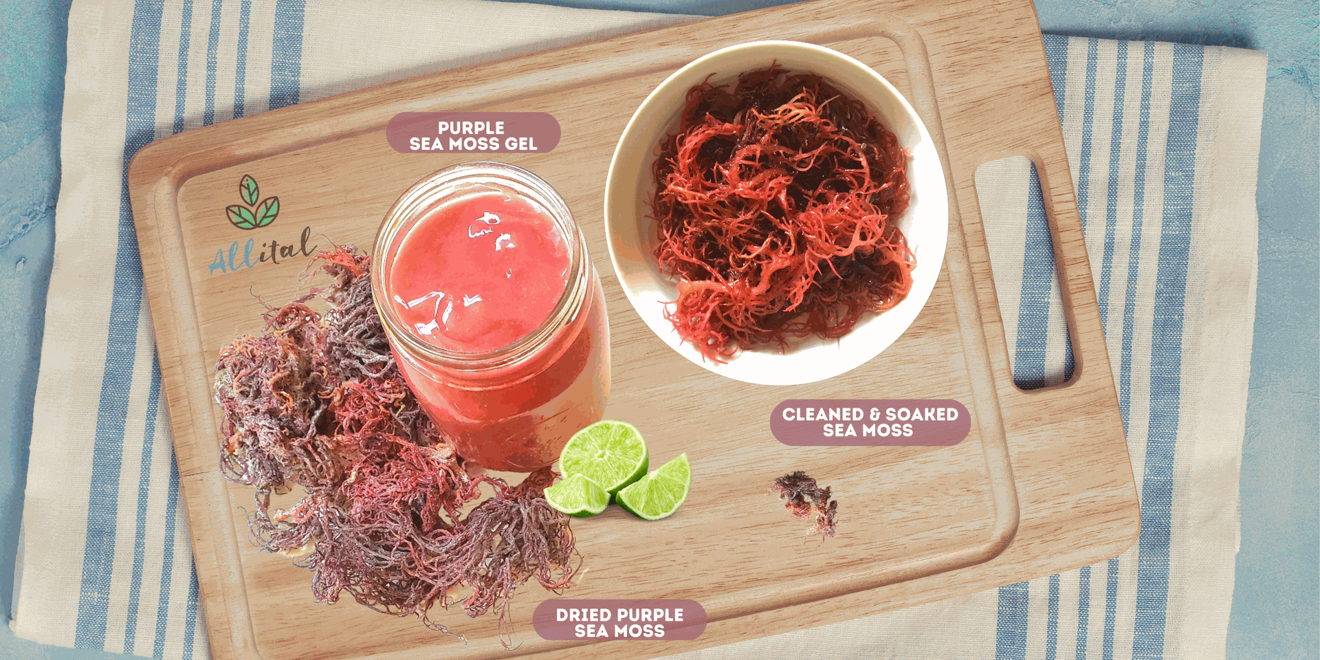A Comprehensive Guide on Sea Moss Gel